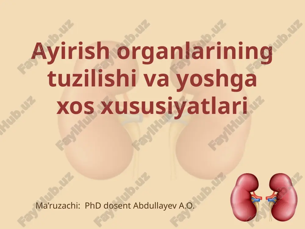 ayirish organlarining tuzilishi va yoshga oid xususiyatlari — PPTX
