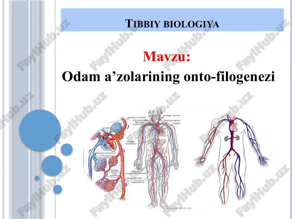 tibbiy biologiya — PPTX