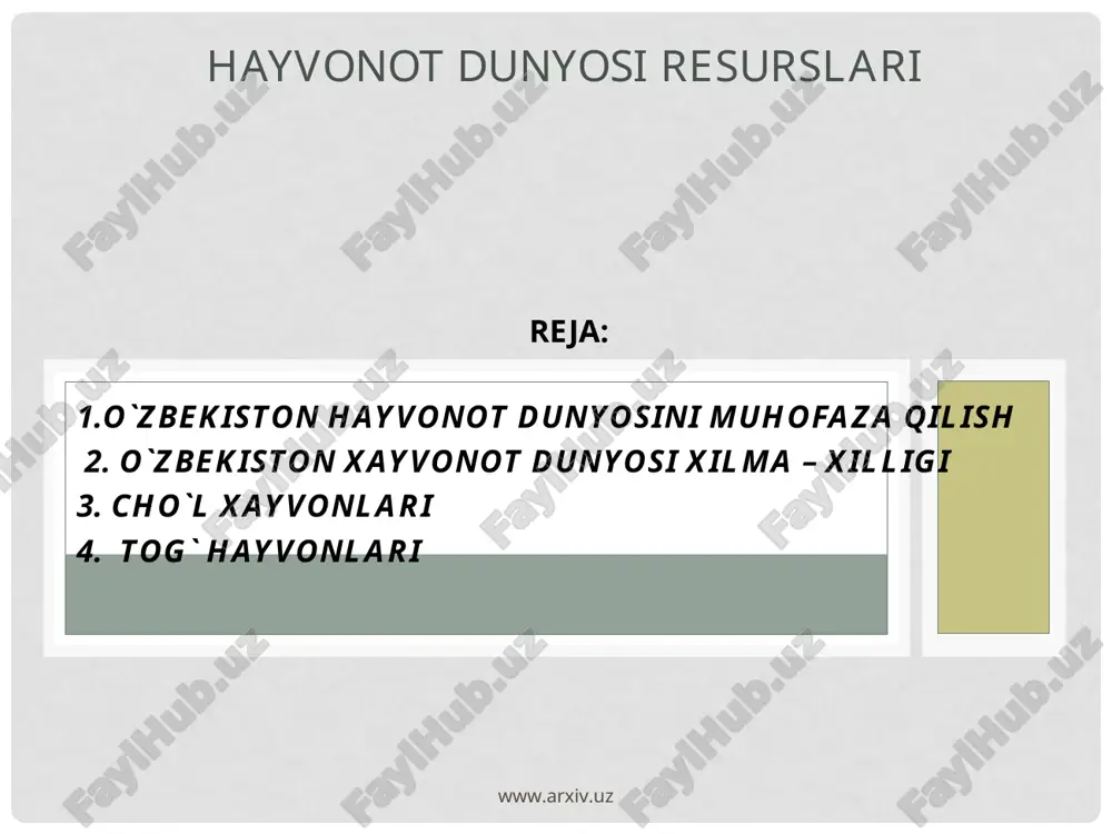 o`zbekiston hayvonlari — PPT