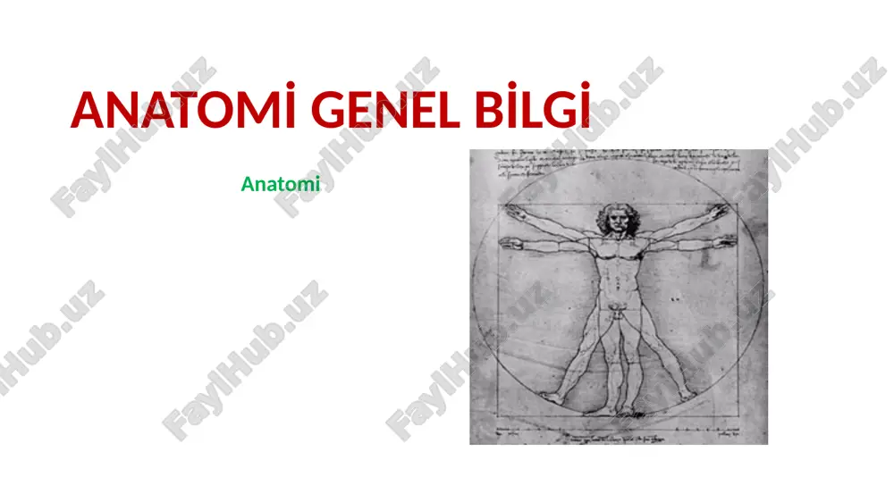 anatomi genel bilgi — PPTX