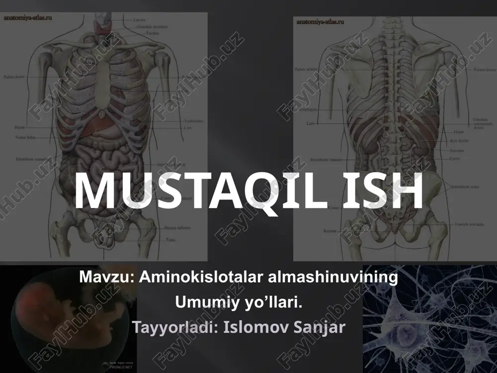 aminokislotalar almashinuvi — PPTX