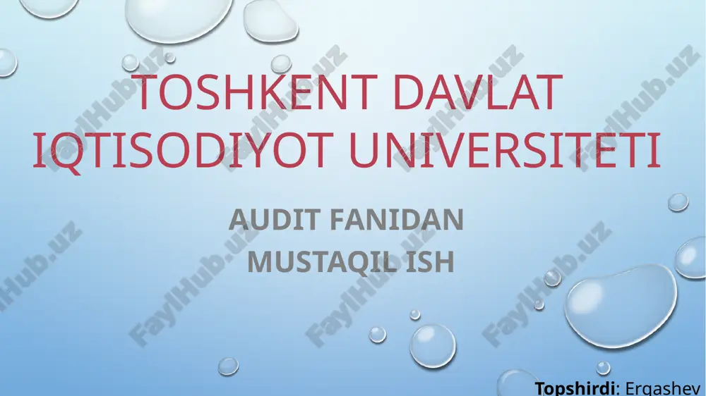 audit faoliyati — PPTX