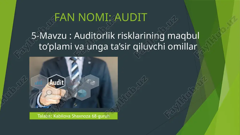 audit — PPTX