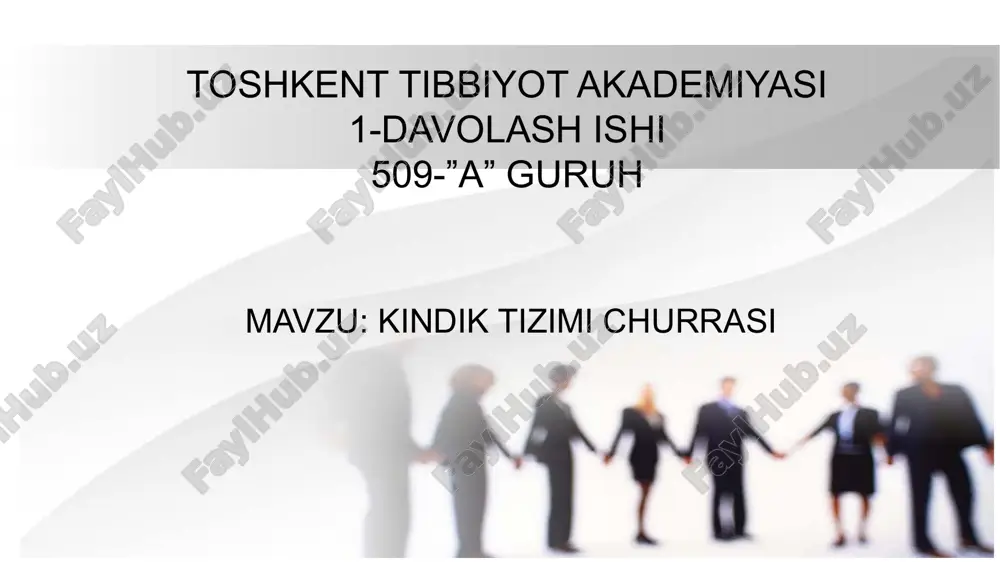 kindik churrasi — PPTX