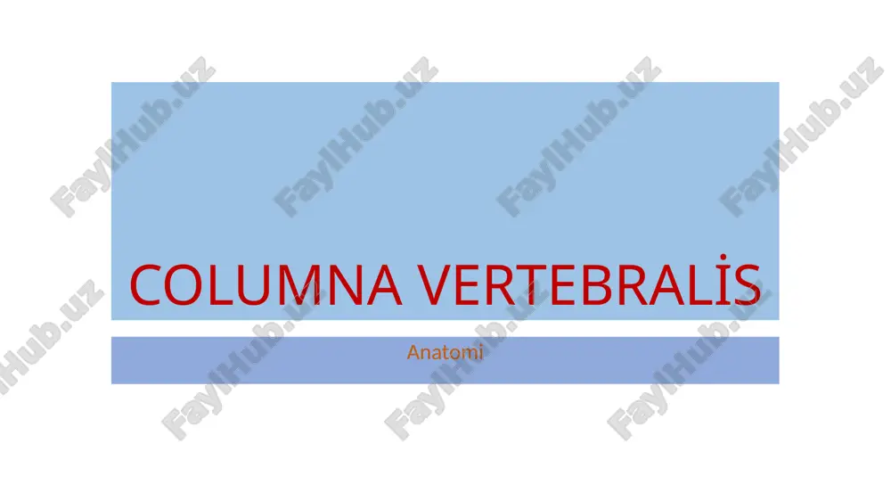 columna vertebralis — PPTX