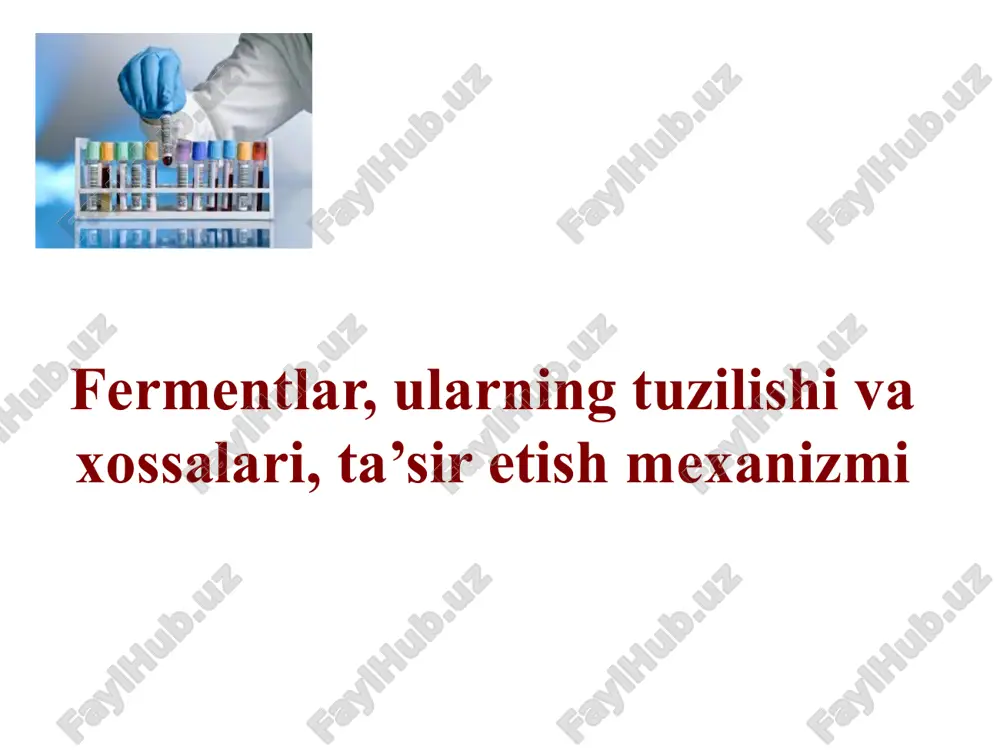 fermentlar — PPTX