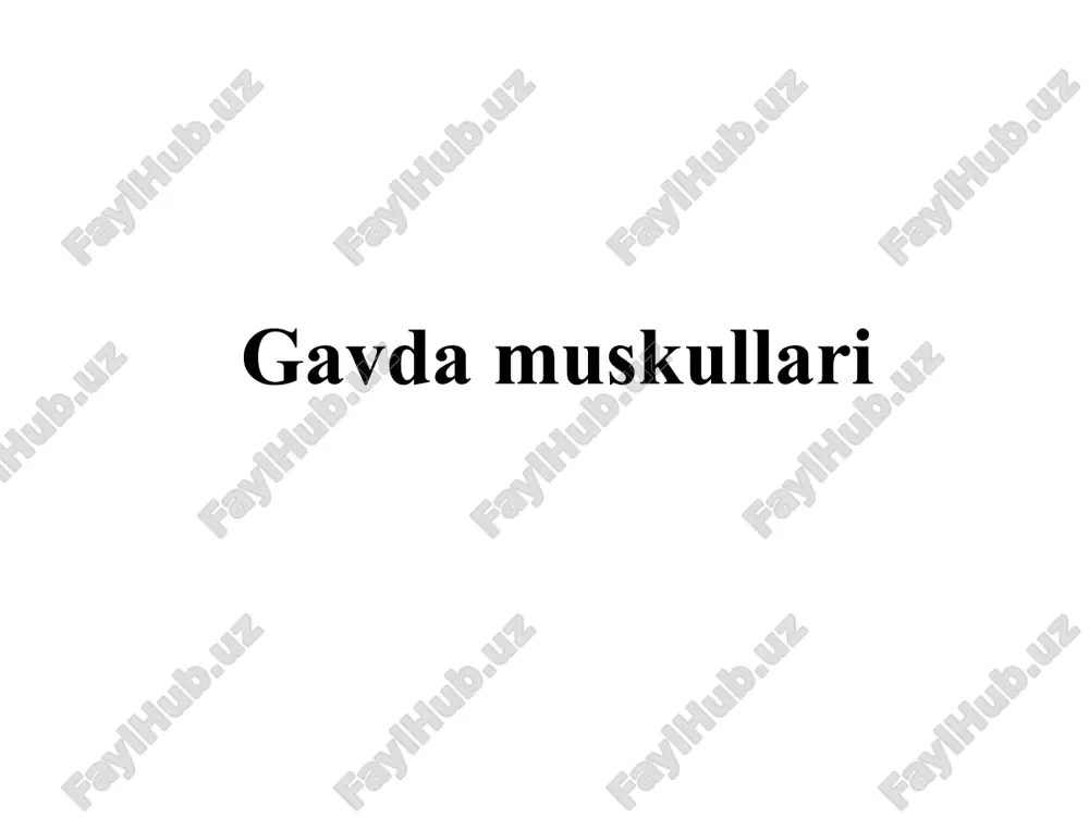gavda muskullari — PPT