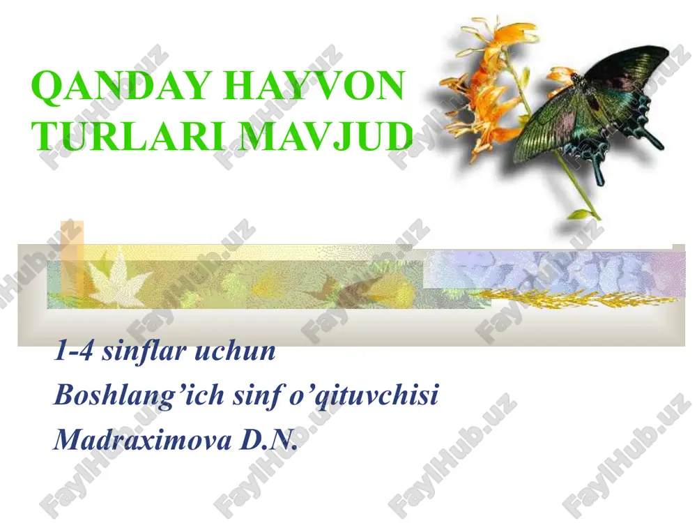 qanday hayvon turlari mavjud? — PPT