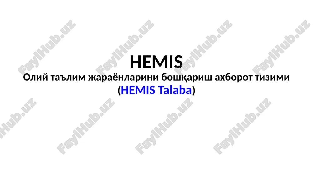 hemis talaba — PPTX
