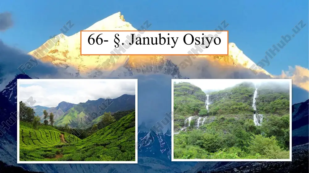 janubiy osiyo geografik ma'lumotlar — PPTX