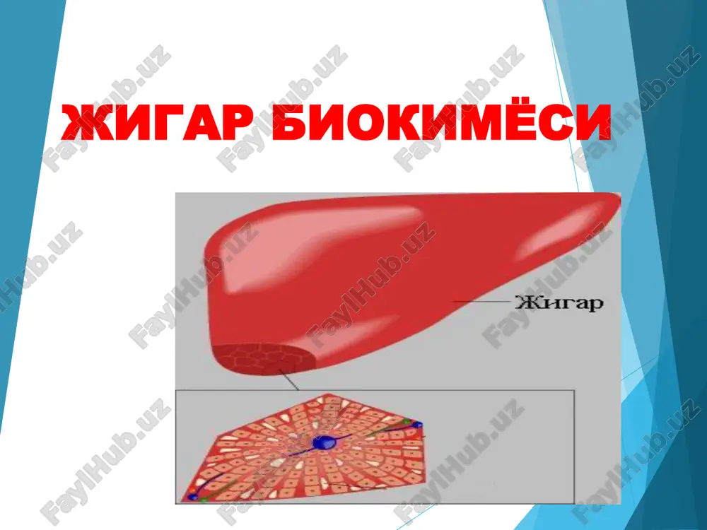 jigar biokimyo — PPT