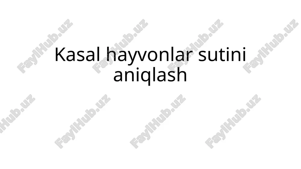 brutsellyoz kasalligi — PPTX