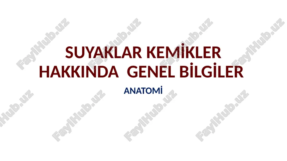 kemikler ve suyaklar — PPTX