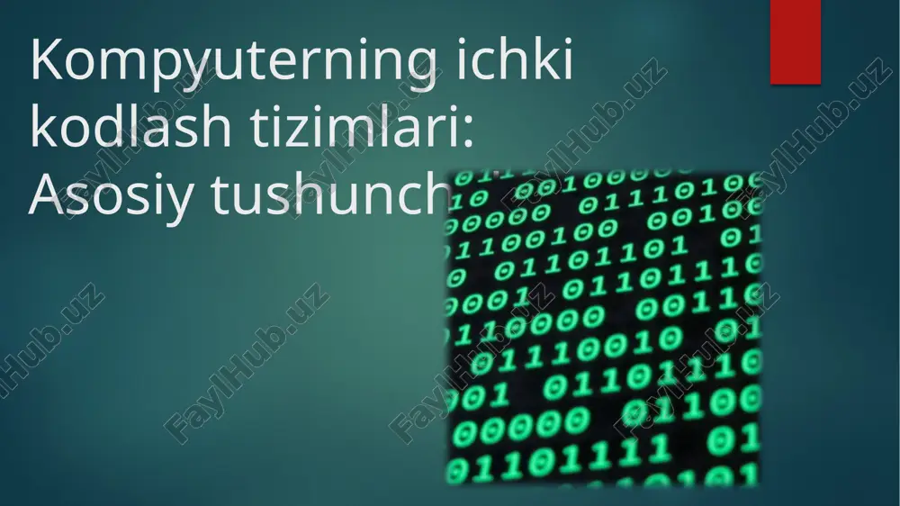 kompyuterning ichki kodlashtirishimlari — PPTX