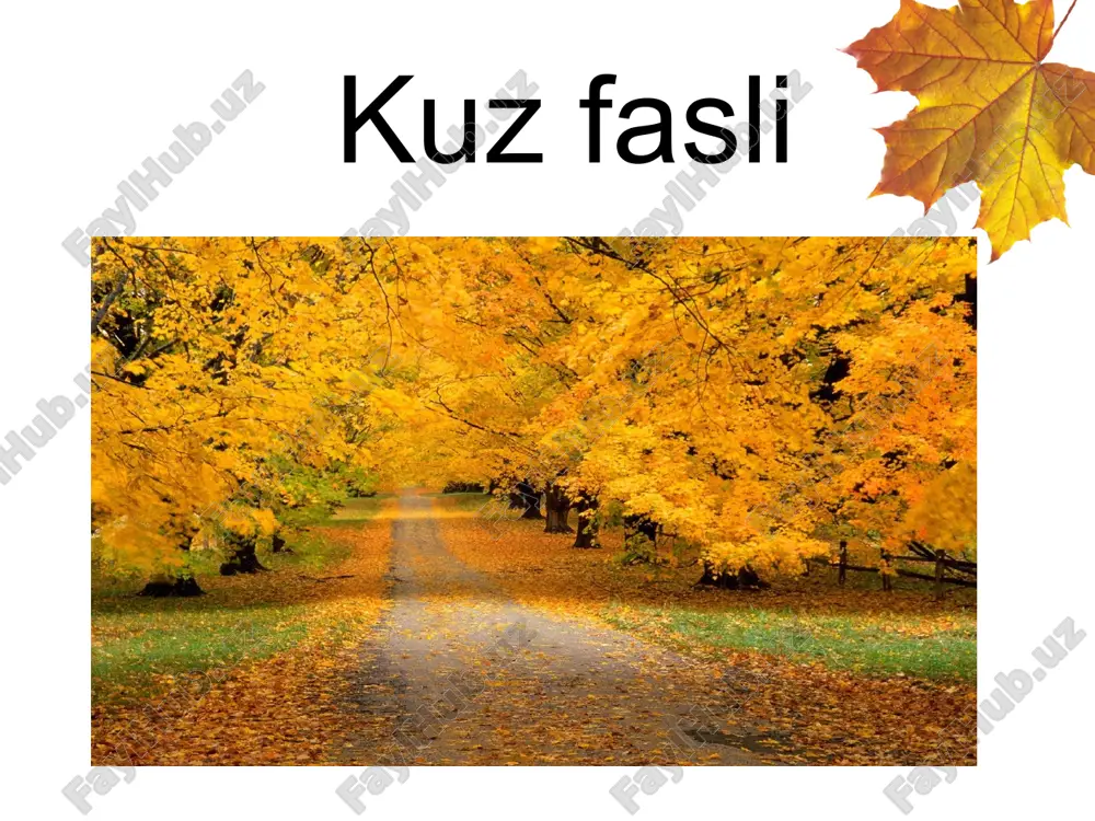 kuzfasli — PPT