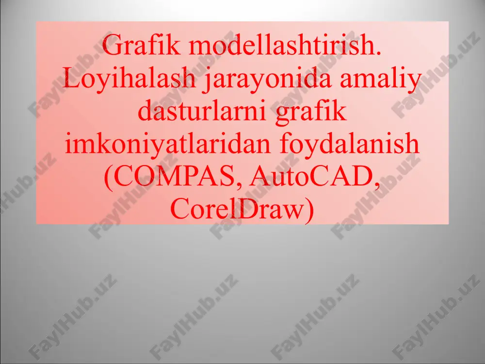 vektorli grafika dasturlari — PPTX