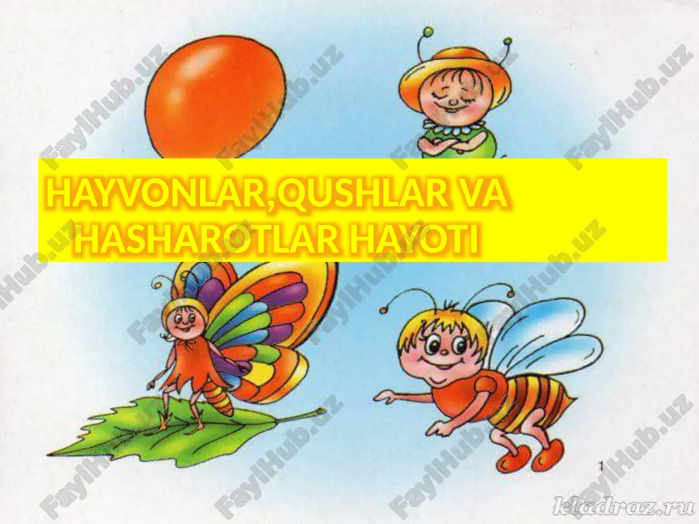 hayvonlar, qushlar va hasharotlar hayoti — PPTX