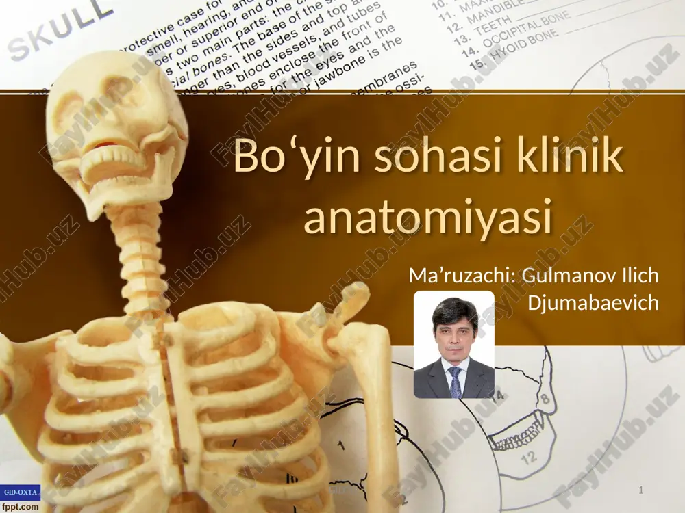 boʻyin sohasi klinik anatomiyasi — PPTX