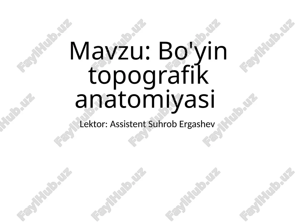 bo'yintopografik anatomiyasi — PPTX