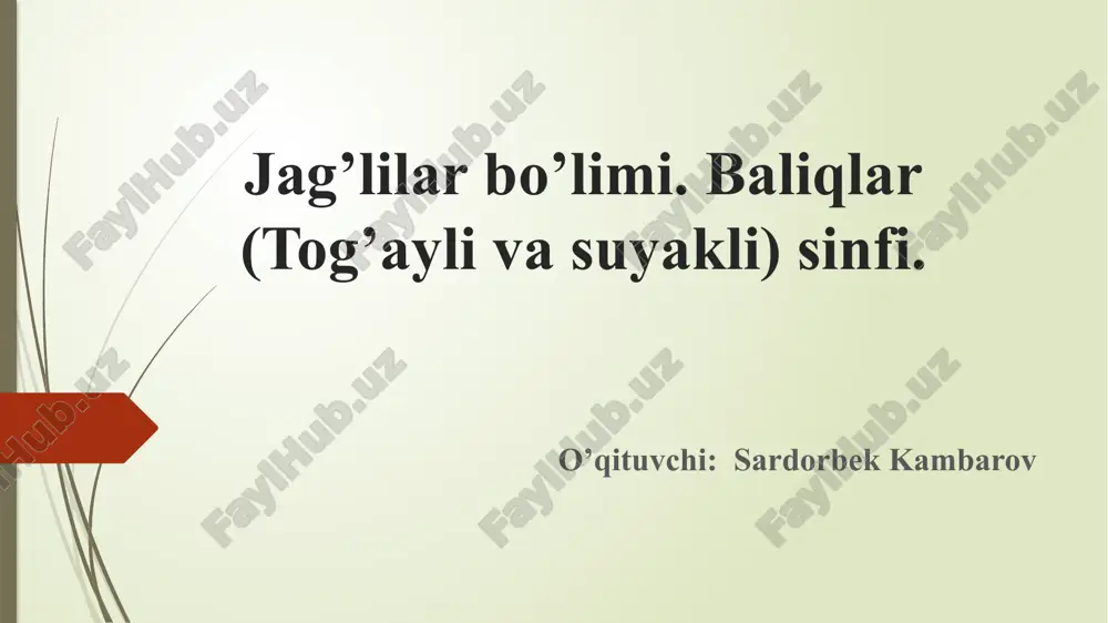baliqlar sinfi haqida ma'lumotlar — PPTX