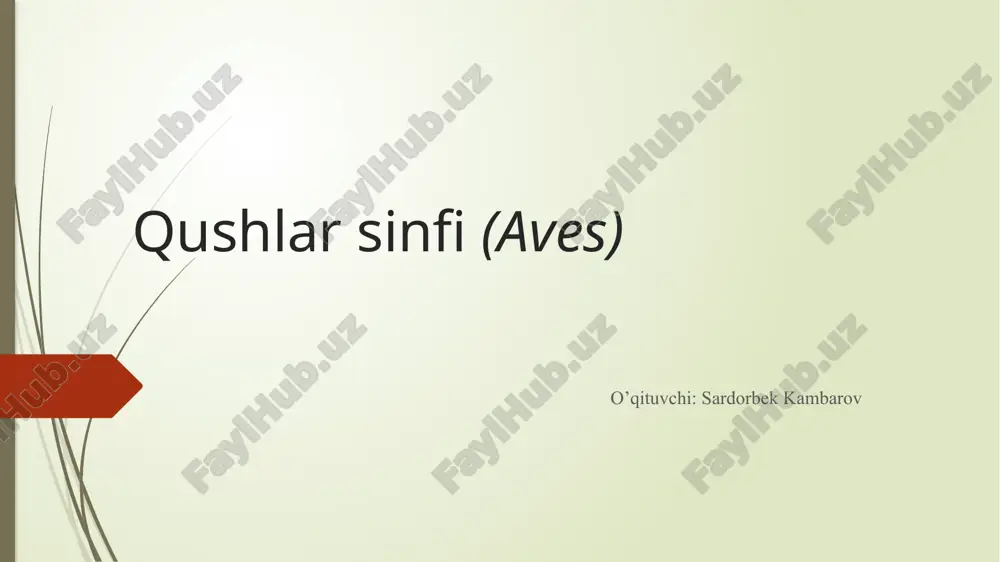 qushlarsinfi(aves) — PPTX