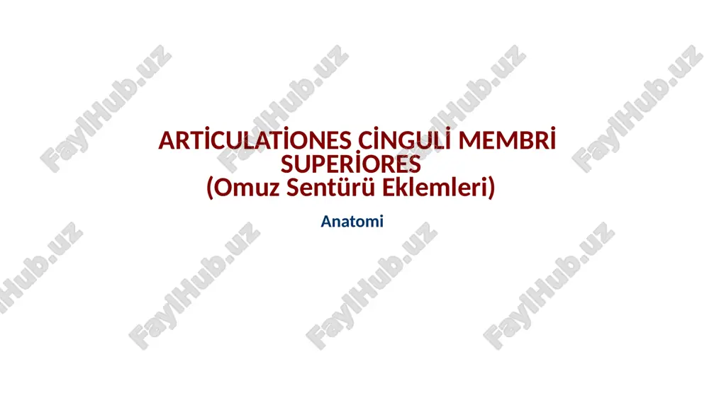 arti̇culati̇ones ci̇nguli̇ membri̇ superi̇ores(omuzsentürüeklemleri) — PPTX