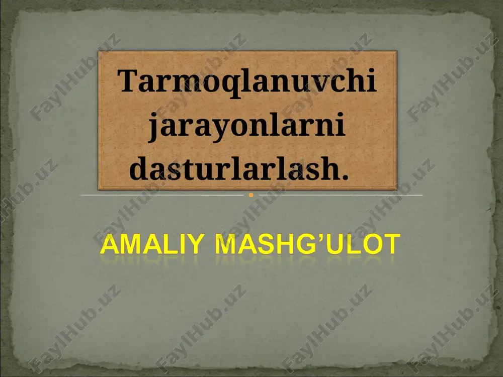 tarmoqlanuvchi jarayonlarni dasturlash — PPT