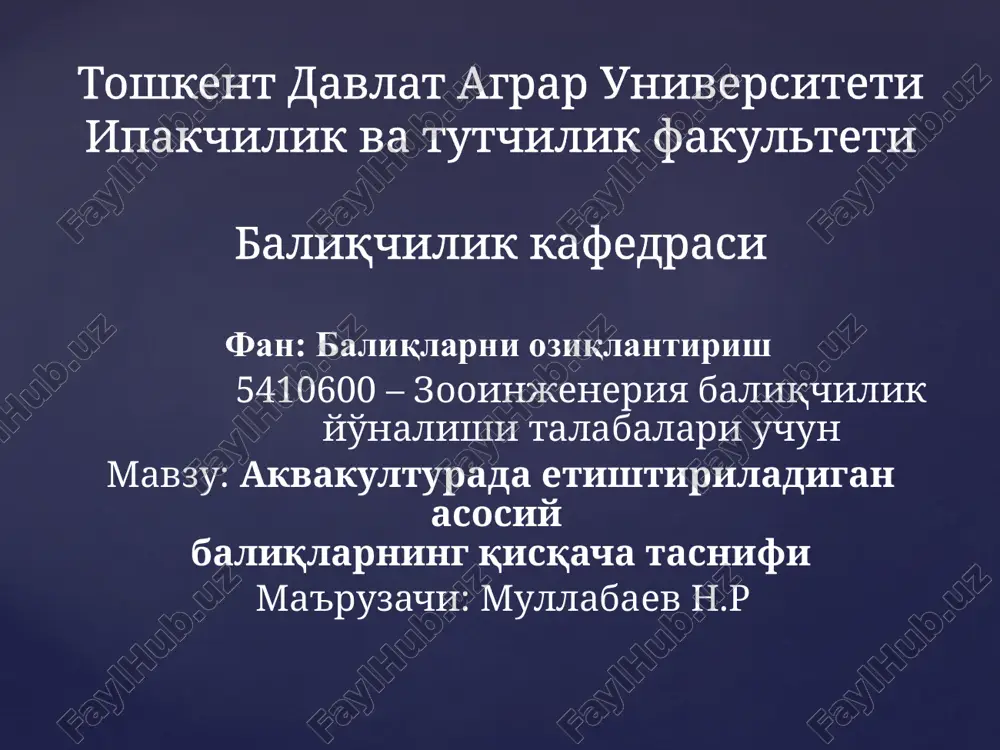 fan: baliqlarni oziqlantirish — PPTX