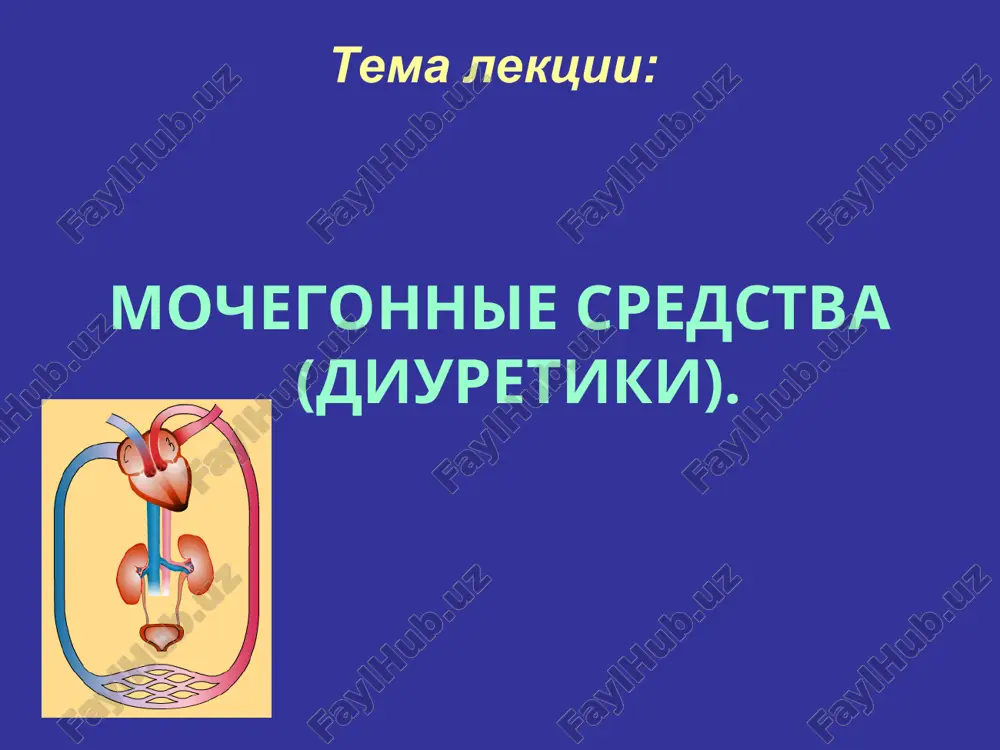 mochegonnie sredstva (diuretiki) — PPT