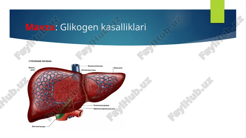 glikogen kasalliklari — PPTX