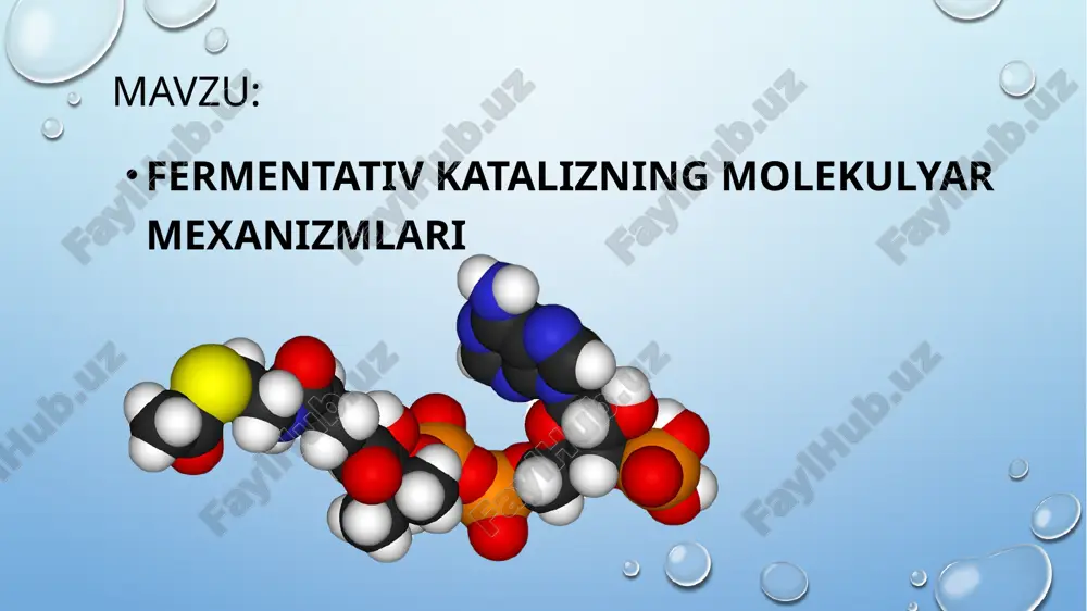 fermentativ katalizning molekulyar mexanizmlari — PPTX