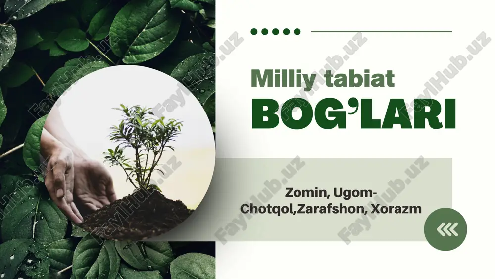 zomin milliytabiat — PPTX