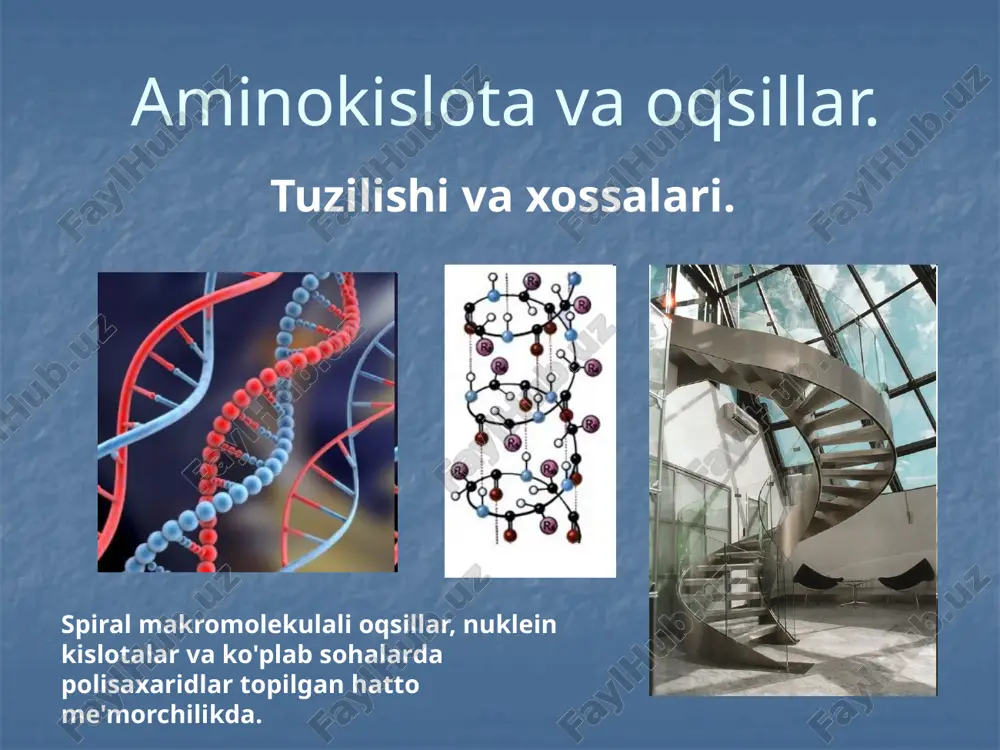 aminokislotlar — PPTX