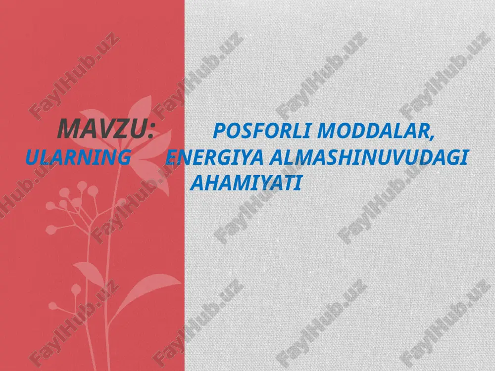 fosforlimoddalar haqida — PPTX
