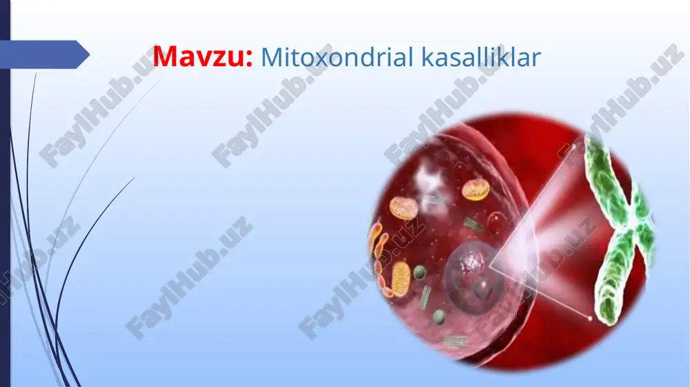 mitoxondrial kasalliklar — PPTX