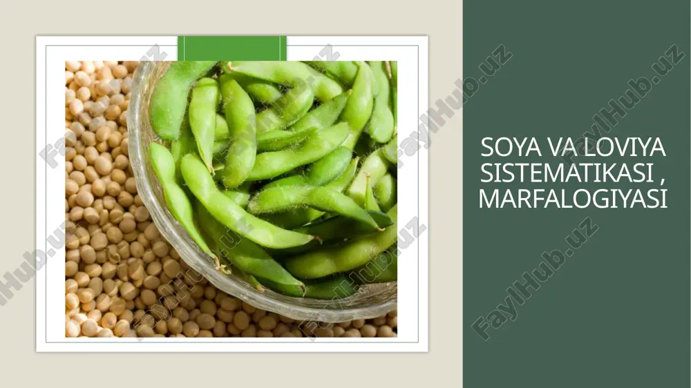 soya va loviya sistemasi, marfalogiyasi — PPTX