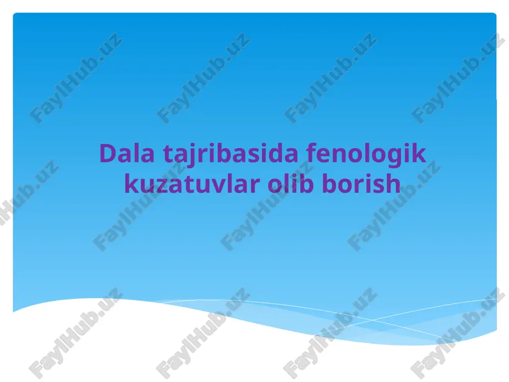 fenologik kuzatuvlar — PPTX