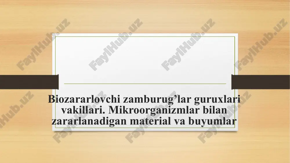 zamburug’lar — PPTX