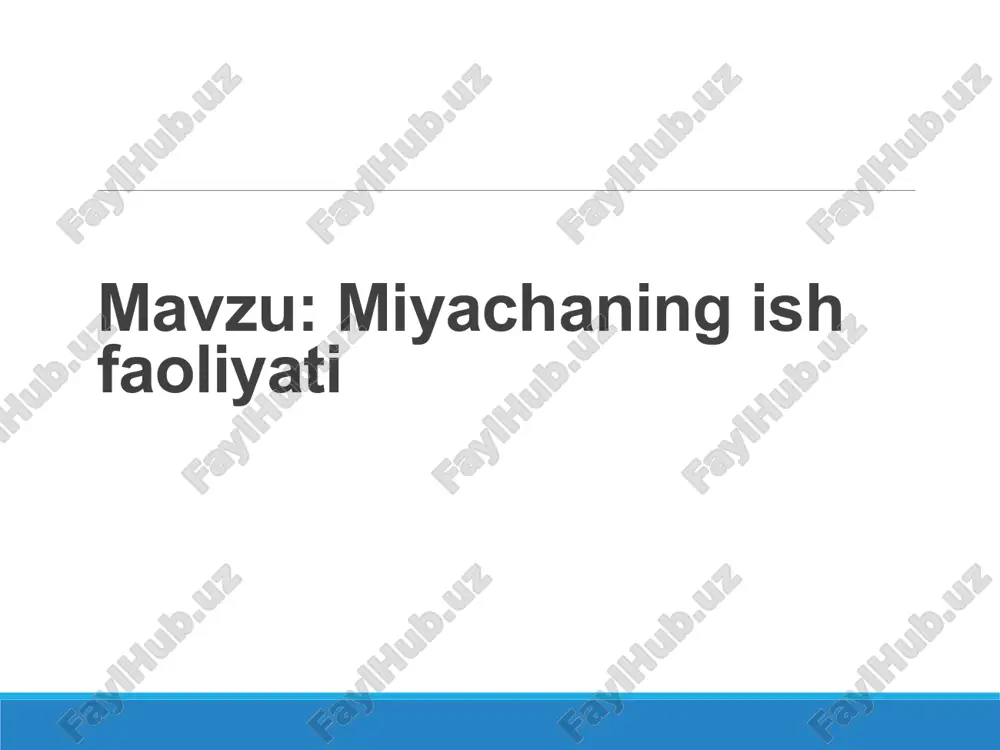 miyachaning ish faoliyati — PPTX