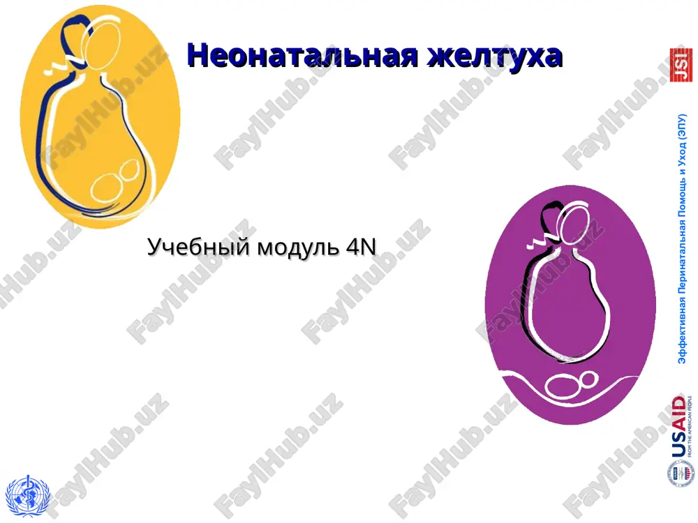 neonatalnaya jeltuxa — PPT