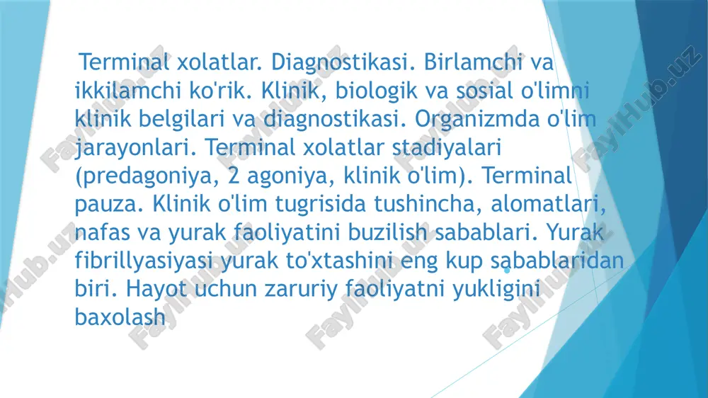 terminal xolatlar — PPTX