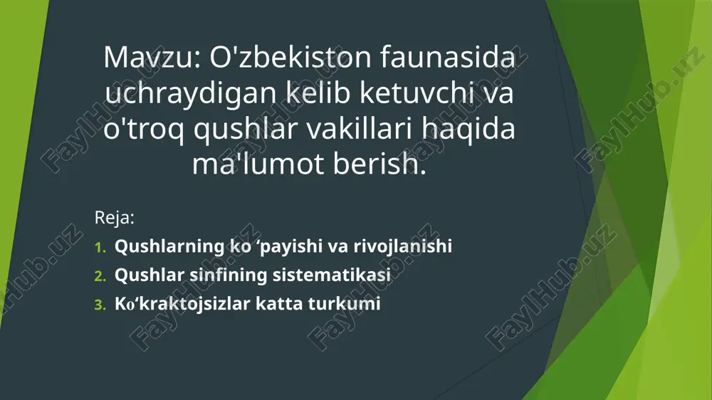 qushlar haqida ma'lumotlar — PPTX