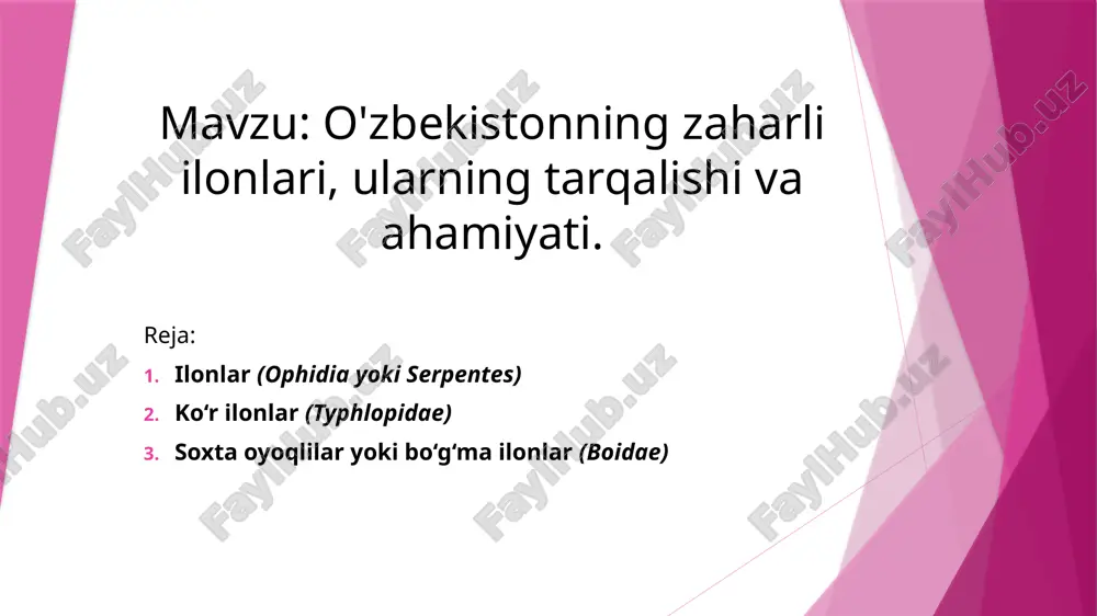 ilonlar haqida ma'lumot — PPTX