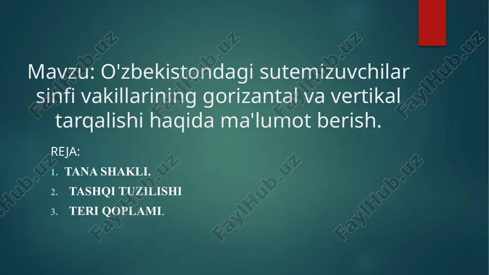 sutemizuvchilar sinfi vakillarining gorizantal va vertikal tarqalishi — PPTX