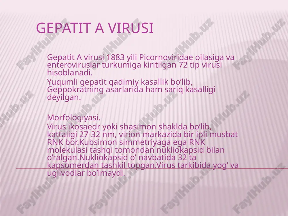 gepatit a virusi — PPTX