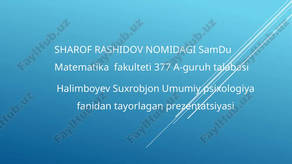 sezgi — PPTX