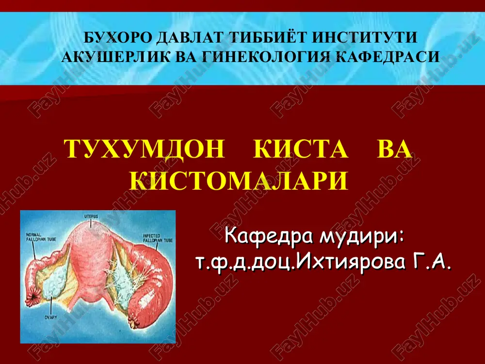 tuxumdon kista va kistomalari — PPT