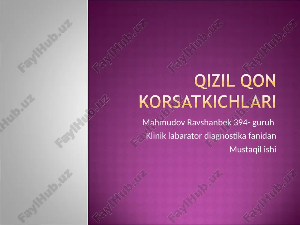 kizil qoin — PPT