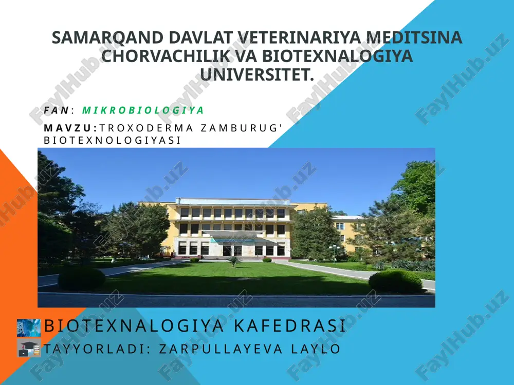 troxodermazamburug' biotexnologiyasi — PPTX