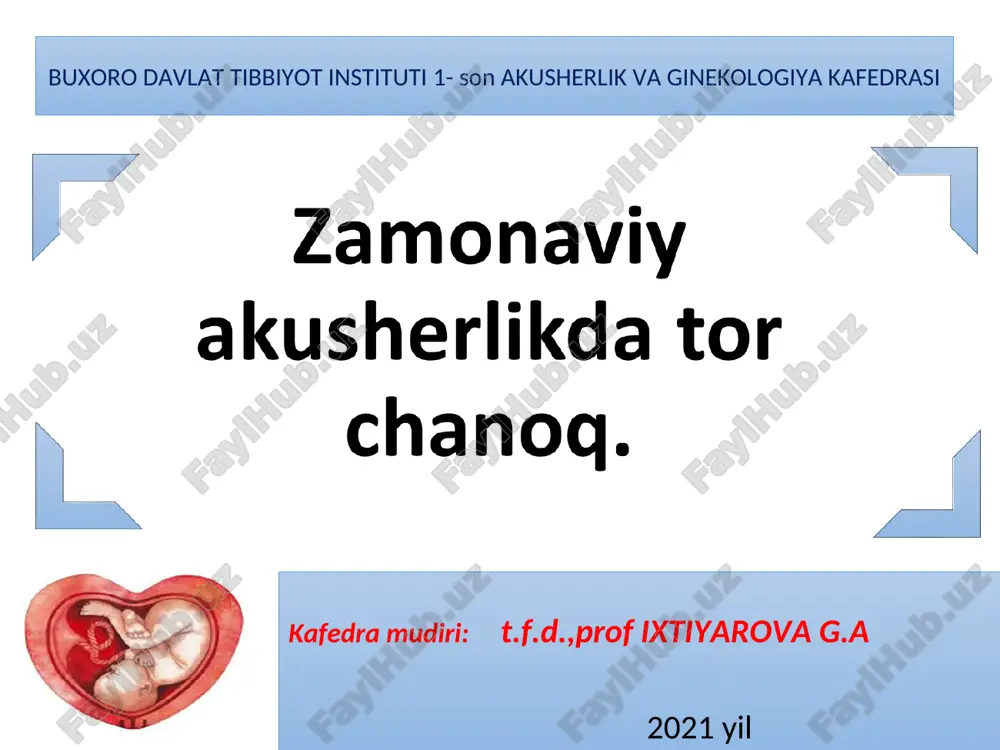 tor chanoq anatomiyasi — PPT